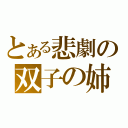 とある悲劇の双子の姉弟（）