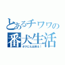 とあるチワワの番犬生活（ボクにも出来る！）