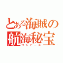 とある海賊の航海秘宝（ワンピース）