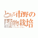 とある市野の植物栽培（プランテーション）