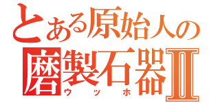 とある原始人の磨製石器Ⅱ（ウッホ）