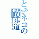 とあるネコの散歩道（迷子になった）