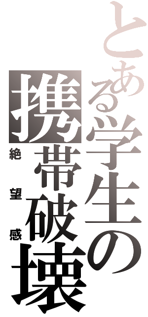 とある学生の携帯破壊（絶望感）