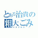 とある治貴の粗大ごみ（メタグロス）