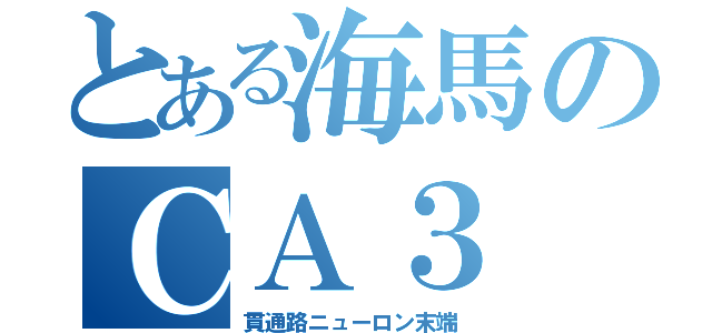 とある海馬のＣＡ３（貫通路ニューロン末端）