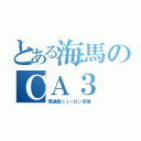 とある海馬のＣＡ３（貫通路ニューロン末端）