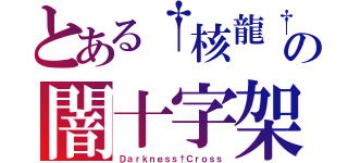 とある†核龍†の闇十字架（Ｄａｒｋｎｅｓｓ†Ｃｒｏｓｓ）