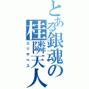 とある銀魂の桂隣天人Ⅱ（エリザベス）