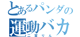 とあるパンダの運動バカ（二宮りん）