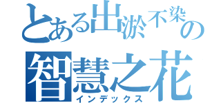 とある出淤不染の智慧之花。（インデックス）