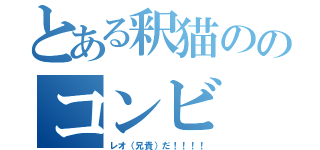 とある釈猫ののコンビ（レオ（兄貴）だ！！！！）