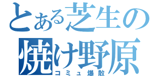 とある芝生の焼け野原（コミュ爆散）