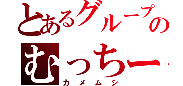 とあるグループのむっちー（カメムシ）