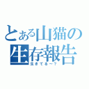 とある山猫の生存報告（生きてる～？）