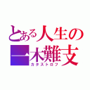 とある人生の一木難支（カタストロフ）