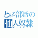 とある部活の仙人奴隷（ガールズ）