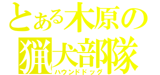 とある木原の猟犬部隊（ハウンドドッグ）