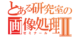 とある研究室の画像処理Ⅱ（ゼミナール）