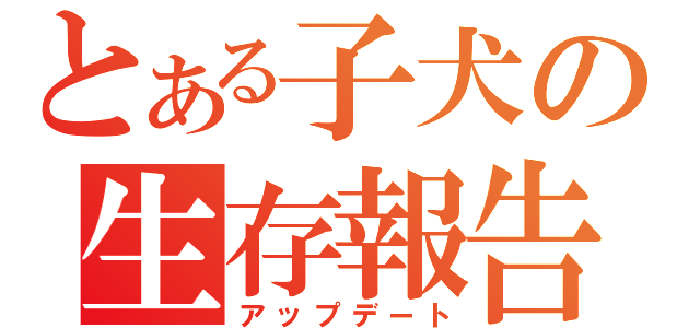 とある子犬の生存報告（アップデート）