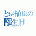 とある植松の誕生日（おめでとう～）