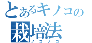 とあるキノコの栽培法（ノコノコ）