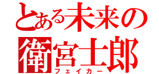 とある未来の衛宮士郎（フェイカー）