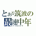 とある筑波の最速中年（パープルシャドウ）