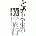 とある中学生の修学旅行（エクスカーション）