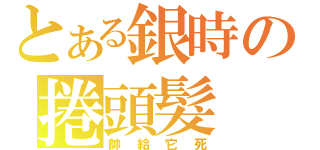 とある銀時の捲頭髮（帥給它死）