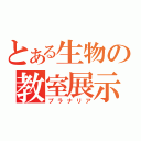 とある生物の教室展示（プラナリア）