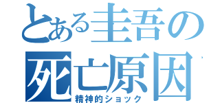 とある圭吾の死亡原因（精神的ショック）