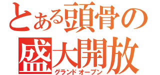 とある頭骨の盛大開放（グランドオープン）