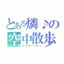 とある燐♪の空中散歩（ラグアーマー）