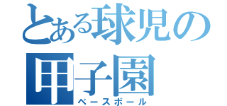 とある球児の甲子園（ベースボール）