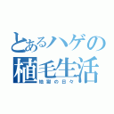 とあるハゲの植毛生活（地獄の日々）