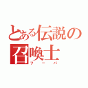 とある伝説の召喚士（フーパ）