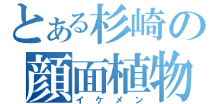 とある杉崎の顔面植物（イケメン）