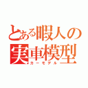 とある暇人の実車模型（カーモデル）