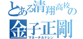 とある清翔高校の金子正剛（マネーチルドレン）