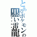 とあるポケモンの黒い雷龍（ゼクロム）