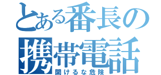 とある番長の携帯電話（開けるな危険）