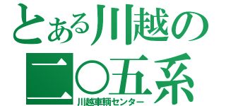 とある川越の二○五系（川越車輌センター）