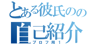 とある彼氏のの自己紹介（プロフ用１）