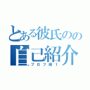 とある彼氏のの自己紹介（プロフ用１）