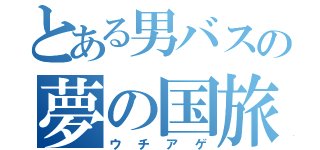 とある男バスの夢の国旅行（ウチアゲ）