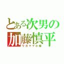 とある次男の加藤慎平（ワガママ小僧）