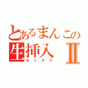 とあるまんこの生挿入Ⅱ（セックス）