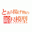 とある揚げ物の縮尺模型（プラモデル）