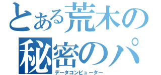 とある荒木の秘密のパソコン（データコンピューター）