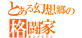 とある幻想郷の格闘家（ホンメイリン）